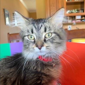 Meet your Posher, Emma